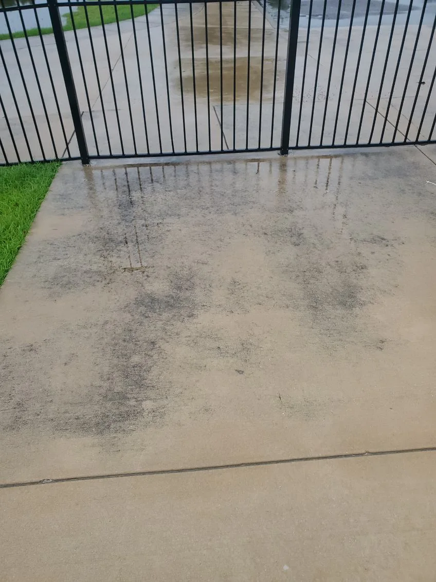 Dark buildup on concrete beside a black gate before washing