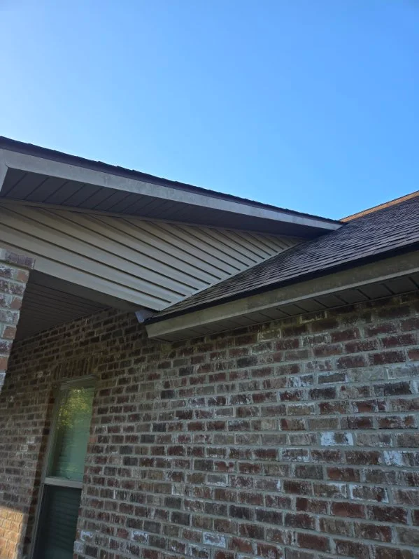 Dark buildup along a roof edge and gutter before washing