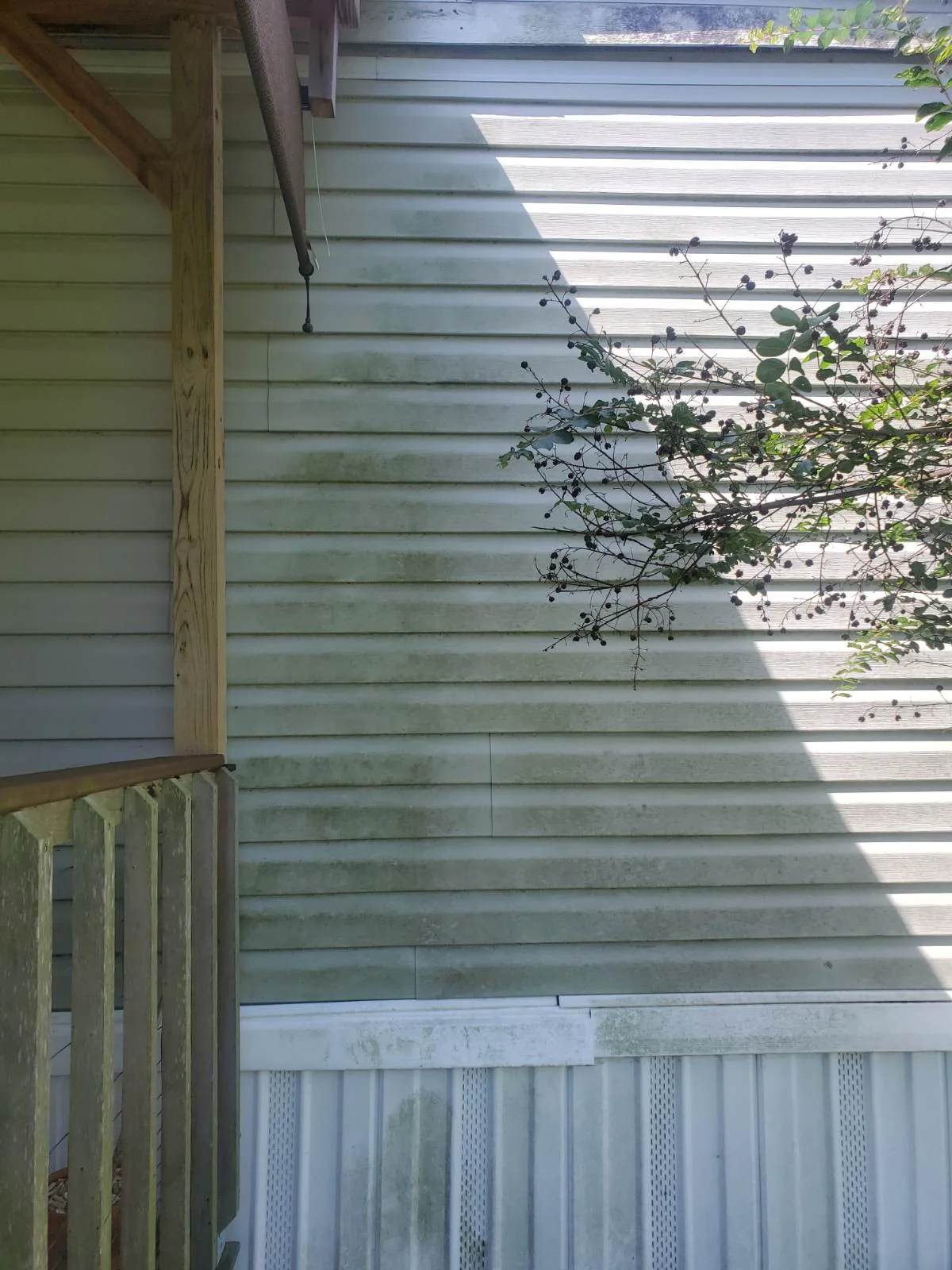 Mildew-streaked siding beside a wood rail before washing