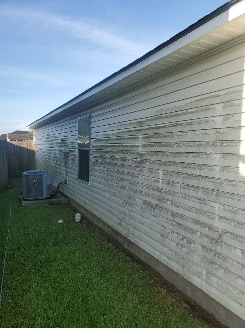 Algae buildup on exterior siding before a wash